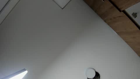 karina_aurora online show from 02-19-26, 04:19