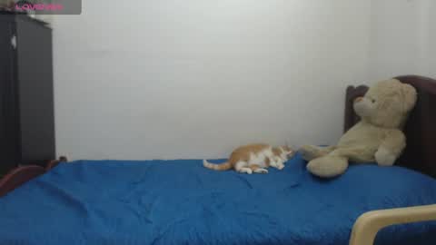 Snapshot of kate_leex chatting on 06-17-26, 06:53 kate_leex online show from 06-17-26, 06:53