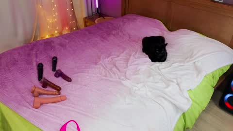 Kate  Sex-House  MILA WAYGMT2 MonTue  0300am-1500am online show from 12-05-24, 12:22