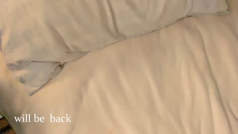 Nice to meet you  online show from 02-03-26, 12:32