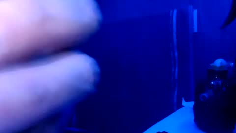 kattbakkxx online show from 07-01-26, 08:27