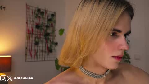 Snapshot of kawaiiboi_ chatting on 02-08-25, 11:45 sasha online show from 02-08-25, 11:45