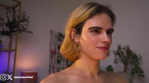 Snapshot of kawaiiboi_ chatting on 02-12-25, 04:01 sasha online show from 02-12-25, 04:01