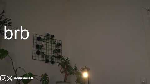 Snapshot of kawaiiboi_ chatting on 02-21-25, 01:55 sasha online show from 02-21-25, 01:55