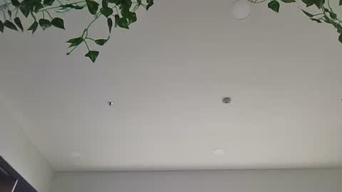 Sky-pure-Japanese online show from 04-07-26, 05:52