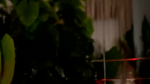 Denise online show from 03-29-26, 02:22