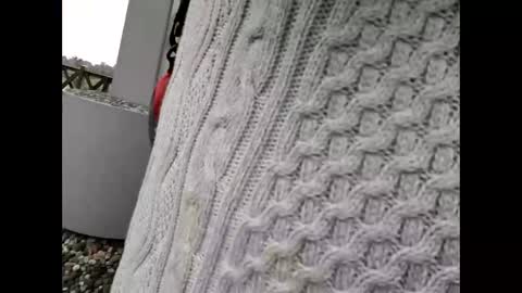 kenhiking online show from 02-19-26, 05:25