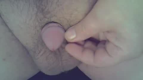 maggot online show from 12-21-24, 03:25