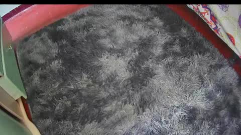 Snapshot of keylasmmith chatting on 02-25-26, 06:17 Keyla online show from 02-25-26, 06:17