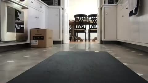 Snapshot of kicknbutt chatting on 02-26-26, 08:52 Kicknbutt online show from 02-26-26, 08:52