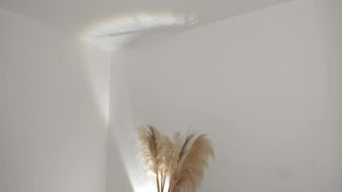 Kim Murphy online show from 04-01-26, 11:11