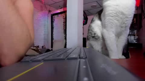 Melany online show from 02-01-25, 12:51