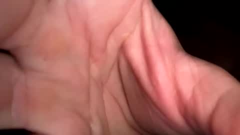 king26844 online show from 03-29-26, 02:39