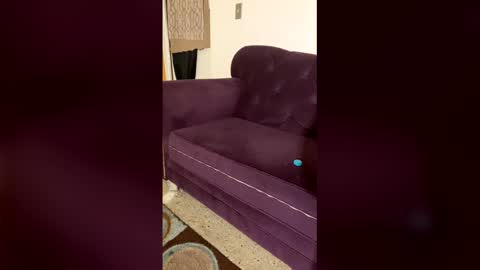 Snapshot of kingecstasyxxxddd chatting on 03-13-26, 01:51 kingecstasyxxxddd online show from 03-13-26, 01:51