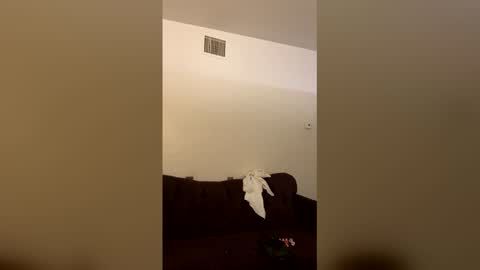 Snapshot of kingecstasyxxxddd chatting on 03-16-26, 03:56 kingecstasyxxxddd online show from 03-16-26, 03:56