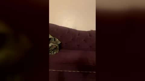 Snapshot of kingecstasyxxxddd chatting on 03-18-26, 04:54 kingecstasyxxxddd online show from 03-18-26, 04:54