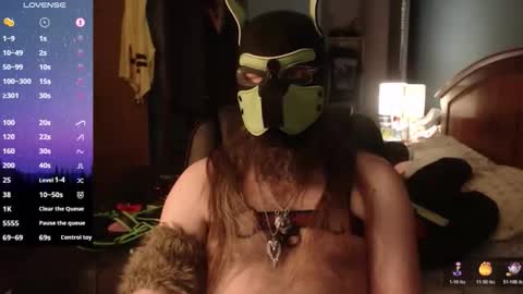 kinkywolf87 online show from 04-08-26, 11:59