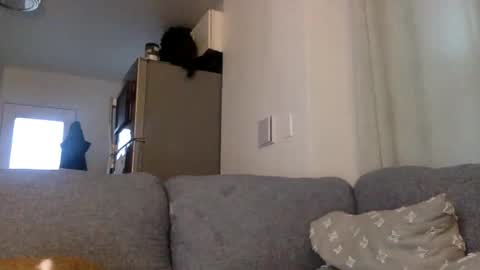 kinnkybwc online show from 03-29-26, 11:16