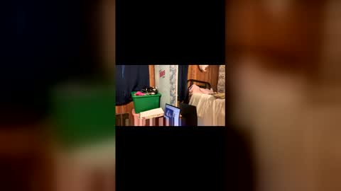 kittypurrrrry online show from 03-31-26, 05:13