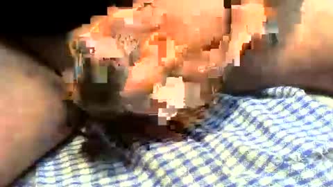 klok8230 online show from 03-27-26, 01:22