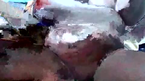 kniteprincess online show from 05-17-26, 05:53
