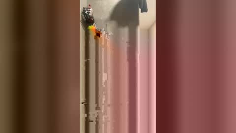 kotajay48 online show from 05-19-26, 03:57