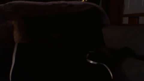 kshies4220 online show from 01-09-26, 05:32