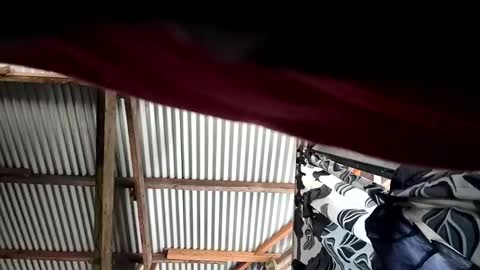 kylie online show from 04-10-26, 12:16