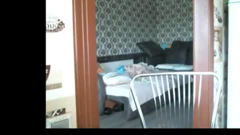 Snapshot of lady_cute_cat chatting on 06-23-26, 02:53 lady cute cat29 online show from 06-23-26, 02:53