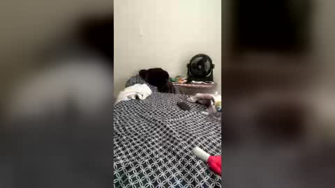 Ladyluckz online show from 07-06-26, 03:03