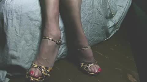 lana_legs53 online show from 05-31-26, 05:59