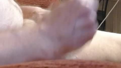 laststeven online show from 12-17-24, 12:01