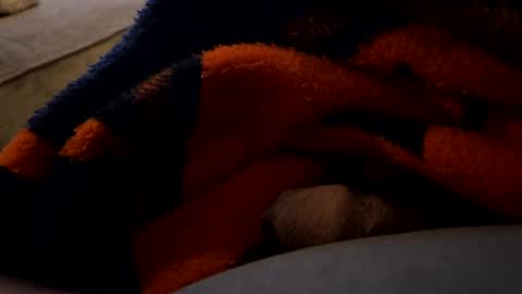 lc6173 online show from 12-27-24, 01:43