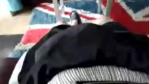 Snapshot of leatherpants68 chatting on 07-17-26, 09:05 leatherpants68 online show from 07-17-26, 09:05