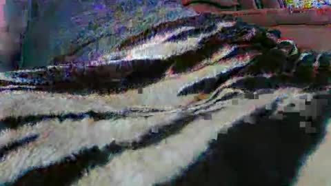 ledmax07 online show from 04-13-26, 01:22