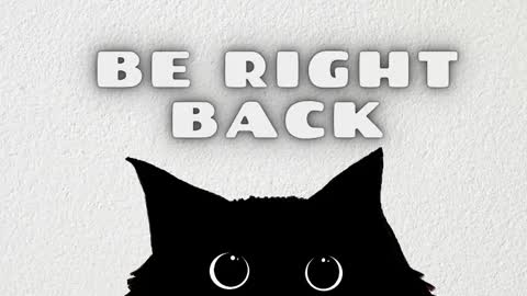 leoguessme online show from 02-21-26, 11:44