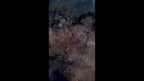 lestercameran80 online show from 06-09-26, 10:16