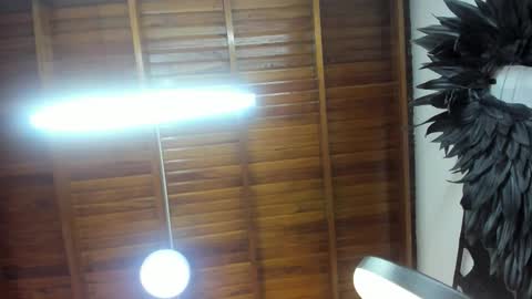 LevySteven online show from 11-07-25, 05:29