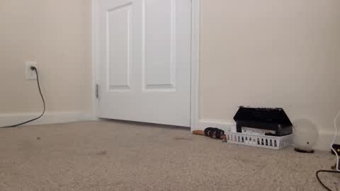 Alexia L. online show from 02-24-26, 04:38