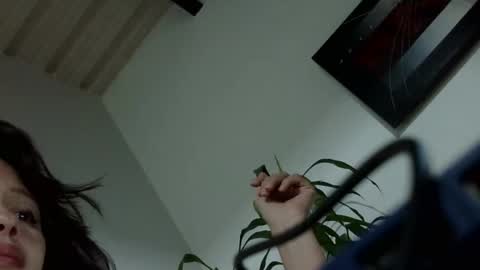 liarysmaag17 online show from 12-08-24, 03:21