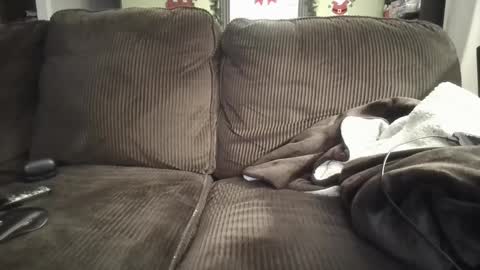 lifer77 online show from 12-26-24, 05:26