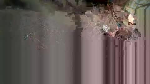 Snapshot of lightmage_024 chatting on 03-24-26, 05:56 Light Mage online show from 03-24-26, 05:56