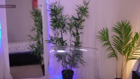 Snapshot of liia_sweett chatting on 06-19-26, 04:22 Lia Sweet online show from 06-19-26, 04:22