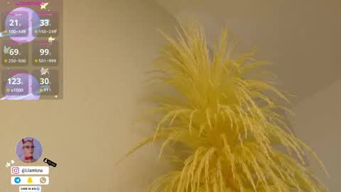 Liiam Luna online show from 04-15-26, 10:00