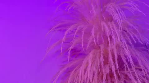 Liiam Luna online show from 05-06-26, 11:04