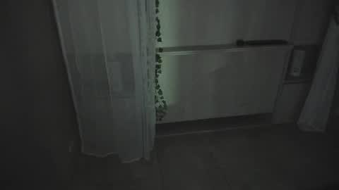         online show from 12-16-25, 11:37