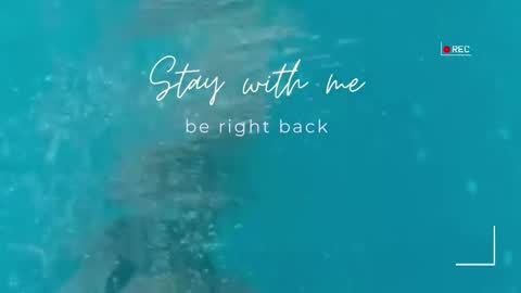 Lily online show from 03-06-26, 07:38