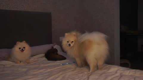 Linda online show from 05-05-26, 01:30