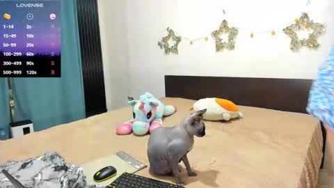 Snapshot of little_sonya chatting on 02-21-26, 11:17 Kat online show from 02-21-26, 11:17