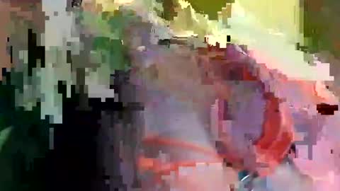 LIV LOMAX online show from 06-11-26, 11:30
